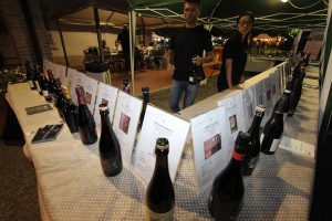 LAMBRUSCO 2016 - 052