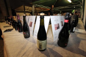 LAMBRUSCO 2016 - 053